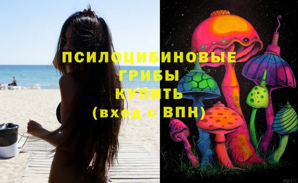 PSILOCYBIN Алексин